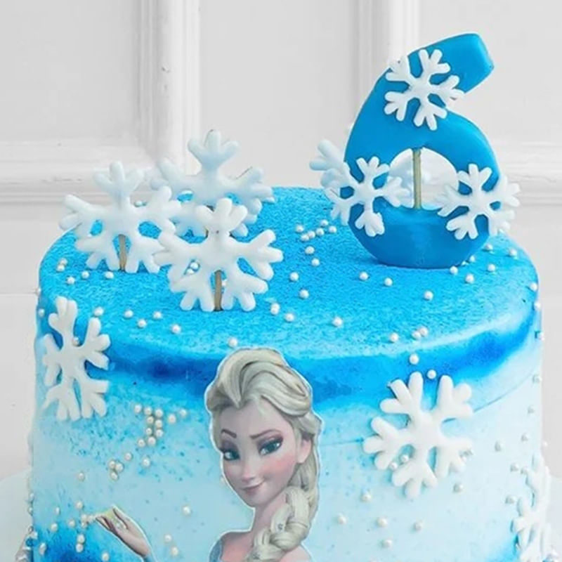 Close View Frozen Fondant Cake